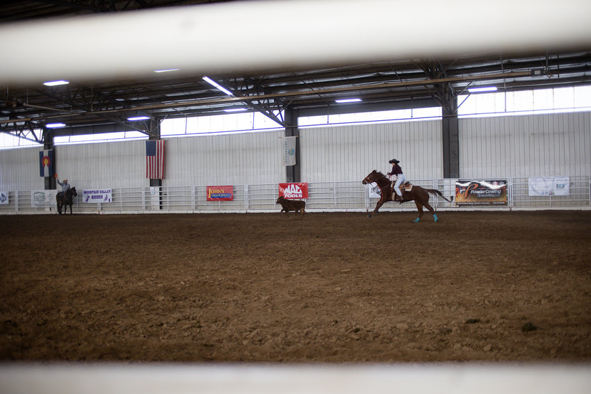 Calf and horse run into the arena during the breakaway event at the Winter Rodeo.